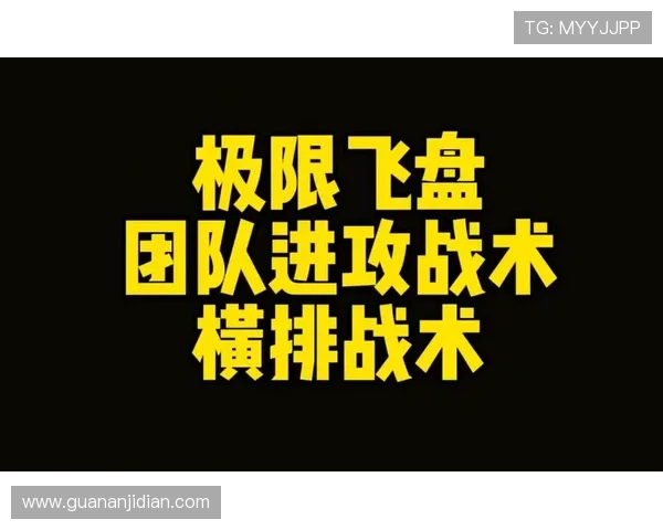 武汉飞盘队的进攻体系解析与战术创新探讨